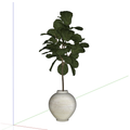 PLANTS