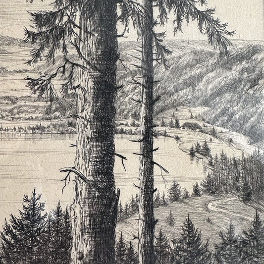 Vintage 1930s German Lakeview Etching Print – 18"x15"