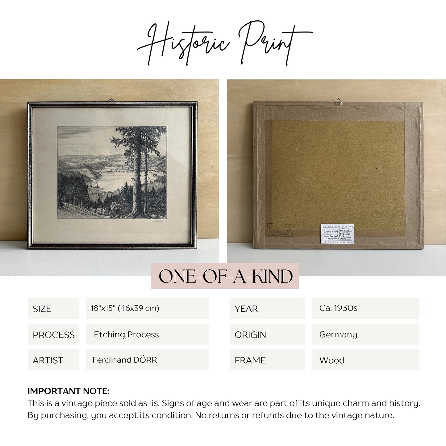 Vintage 1930s German Lakeview Etching Print – 18"x15"