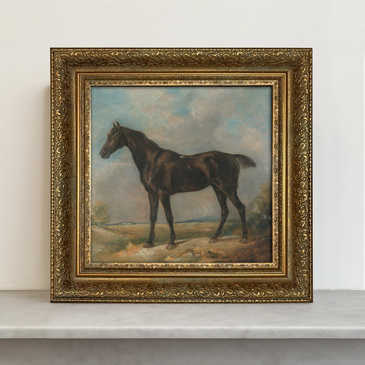 Framed Giclée Art Print "The Dark Racer Horse" 11” x 11” - MADE TO ORDER