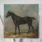 Framed Giclée Art Print "The Dark Racer Horse" 11” x 11” - MADE TO ORDER