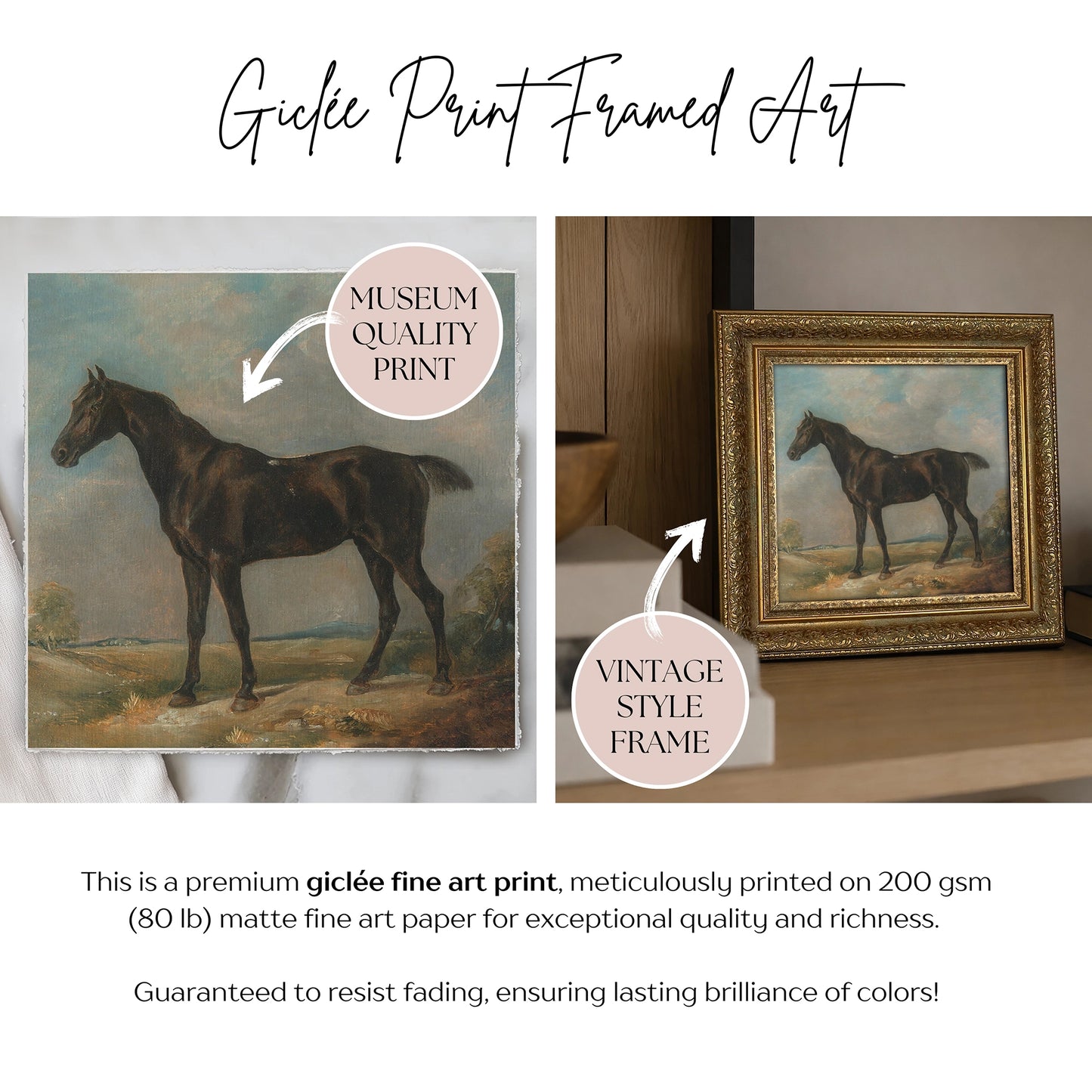 Framed Giclée Art Print "The Dark Racer Horse" 11” x 11” - MADE TO ORDER